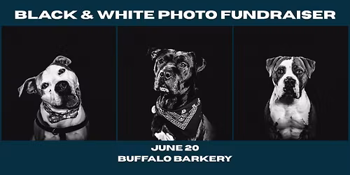 Black & White Photo Fundraiser
