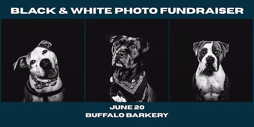 Black & White Photo Fundraiser