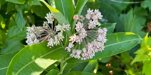 Tour of the Prairie 2026 \u2013 July