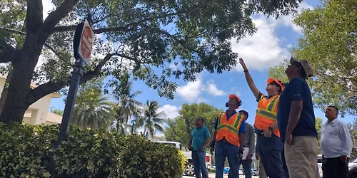 BASIC Tree Trimmer Certification - SPANISH