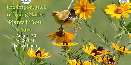 The Importance of Using Native Plants in Your Yard with Wood County Master Gardeners
