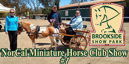 NORCAL MINIATURE HORSE CLUB SHOW #1
