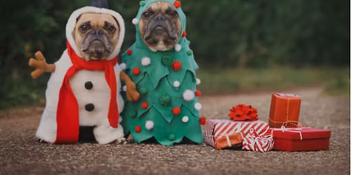 \ud83c\udf84Hadleigh Christmas Street Fair\ud83e\uddf6