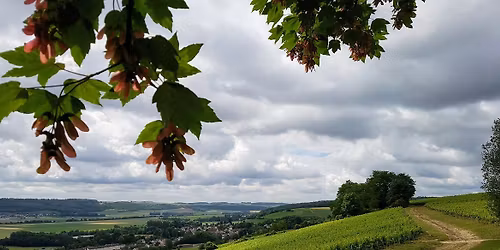 Randonn\u00e9es du T\u00e9l\u00e9thon