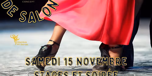 15\/11 Stages Bachata & Rock et soir\u00e9e Danses de Salon by My Event Concept