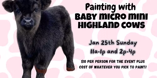 Painting with BABY Mini Highland Cows