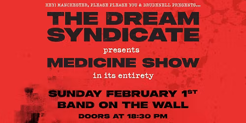 The Dream Syndicate, Live in Manchester