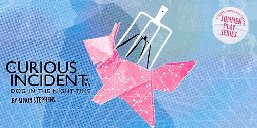 The Curious Incident of The Dog In The Night-Time