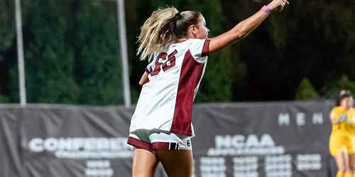 Florida Gators at South Carolina Gamecocks Womens Volleyball