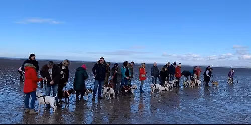 West Kirby Beach Bullie Walk