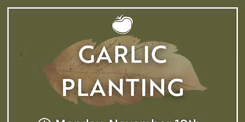VINES: On-site Workshop: Garlic Planting 11\/10\/25