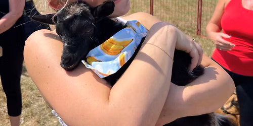 Goat Yoga - Toyota Music Factory