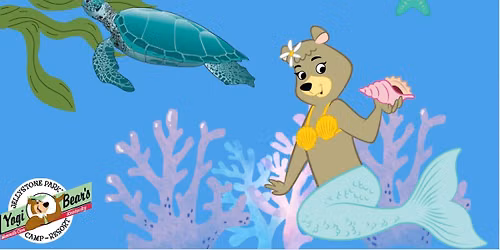 Under the Sea