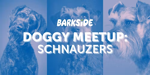 Mutt Meetup: Schnauzers