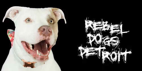 ADPC 3rd Annual Charity Performance