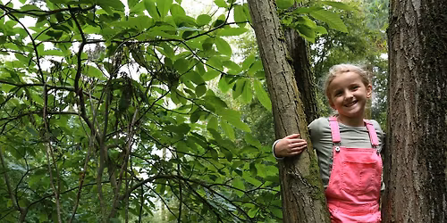 Belfairs Family Forest Fun
