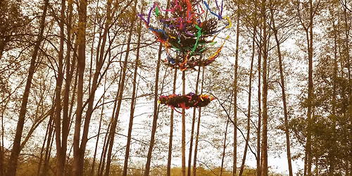 Kinder-Maibaumsetzen in T\u00f6ppeln 2026