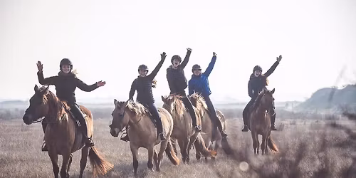 Marquenterre I Vin et chocolat chauds