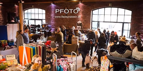 Hundeweihnachtsmesse 2025 - Kloster Knechtsteden in Dormagen