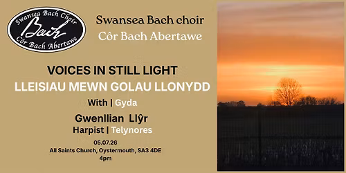 Voices in Still Light - Lleisiau Mewn Golau Llonydd
