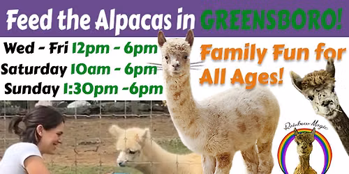 Feed the Alpacas - GSO 