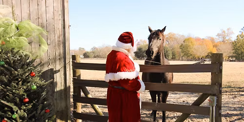 "One Horse Open Sleigh" Winter Market and Santa Pictures