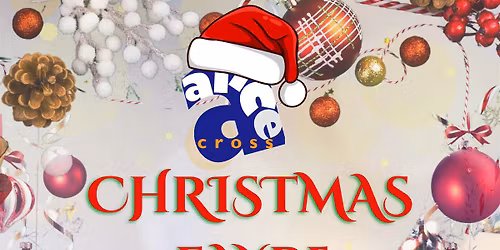 Alice Cross Christmas Fayre