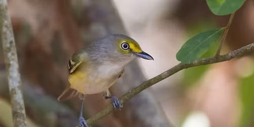 Field Trip: Longview Lake