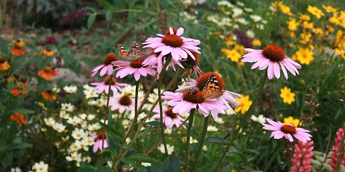 DOWNTOWN CAMPUS Planting Day (11-11:45am)