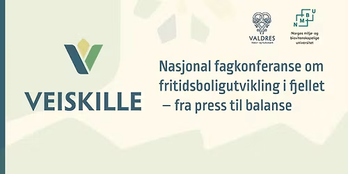 VEISKILLE - fra press til balanse