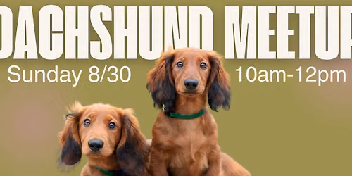 Dachshund Meetup & Pup Cup Bar