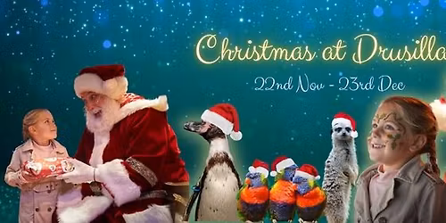 Christmas at Drusillas 