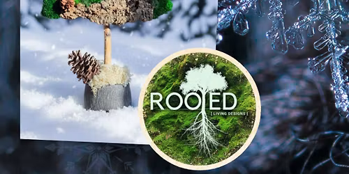 Merry and Mossy Holiday Tree Workshop