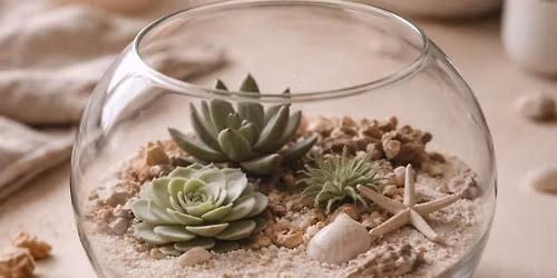 Beach Terrarium Workshop | Summer Reset with Boho Workshops