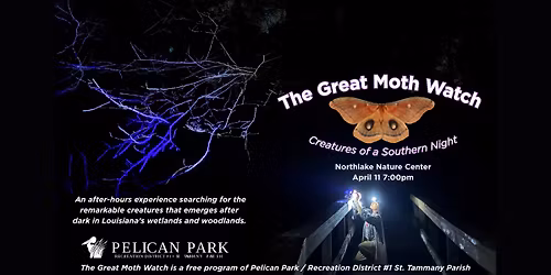 The Great Moth Watch: Creatures of a Southern Night