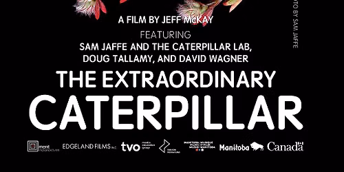 The Extraordinary Caterpillar Screening & Discussion