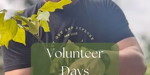Volunteer Days - Roots