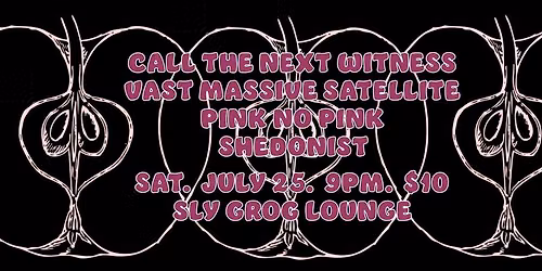 Call The Next Witness-Pink No Pink-Vast Massive Satellite(TX), Shedonist(TN) at Sly Grog 7\/25 9p $10