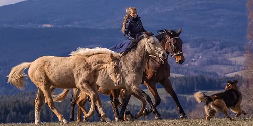 🧡 Prosincový kurz na Zámku Skalice