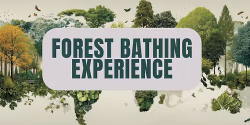 Forest Bathing Experience-With Mark Bucha
