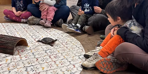 Evening Kids on the Farm - Animal Encounter