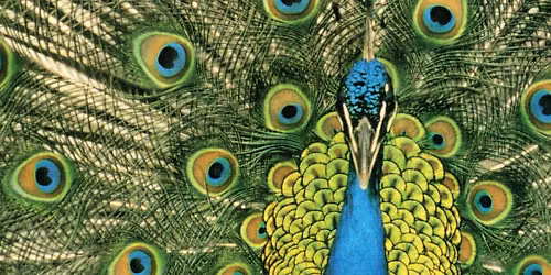 The Bluetones in Stoke-on-Trent