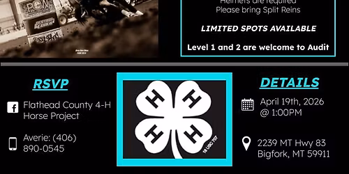 Next Level 4-H Gaming Clinic