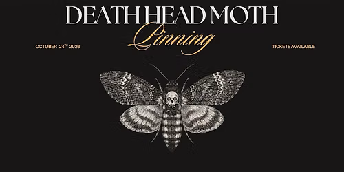 Death's-Head HawkMoth Pinning Workshop