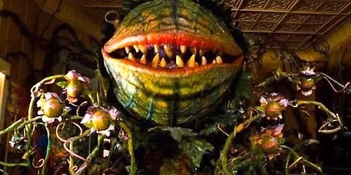Halloween 2026: Plantpocalypse!