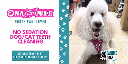 Pet Teeth Cleaning Event - North Vancouver