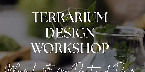 Terrarium making workshop