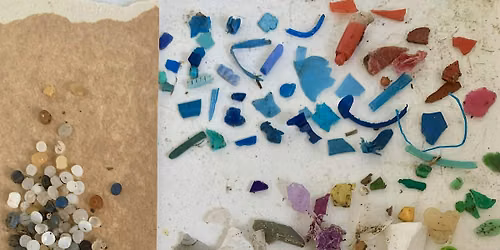 Microplastics Survey - Morecambe