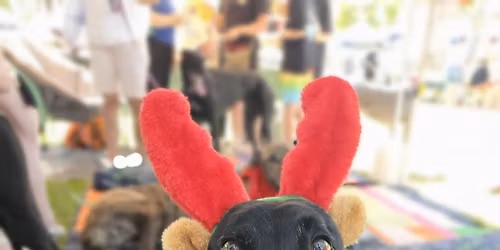 GPFL display - The Bunbury Markets