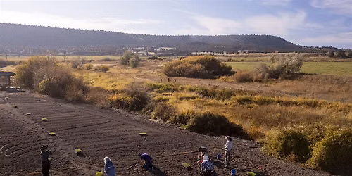 Crooked River Park Native Plant Stewardship Project - Planting Day